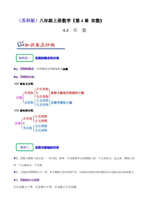 4.3实数(十大题型)(解析版) 八年级数学上学期