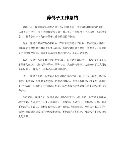 养鸽子工作总结
