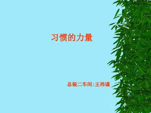 习惯的力量ppt课件
