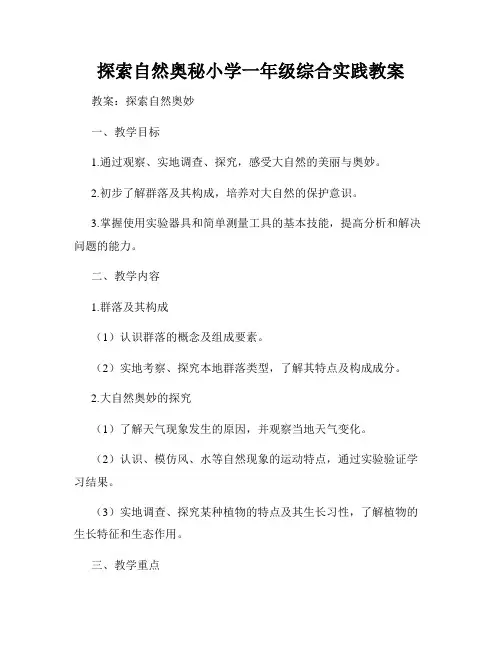 探索自然奥秘小学一年级综合实践教案