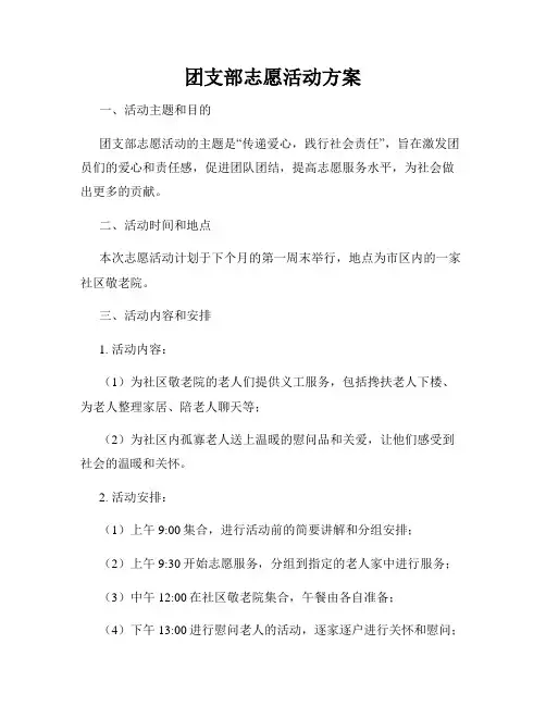 团支部志愿活动方案