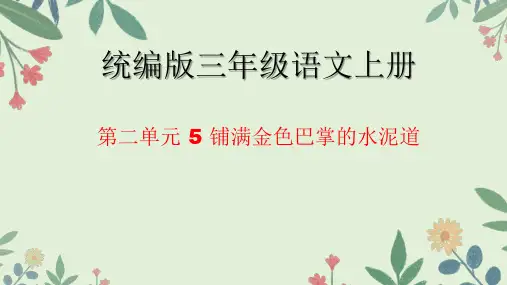 铺满金色巴掌的水泥道ppt课件