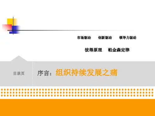 领导梯队解读ppt课件.ppt