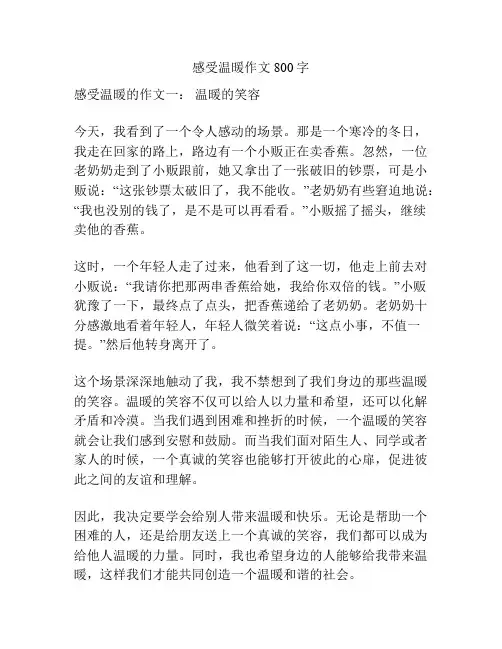 感受温暖作文800字