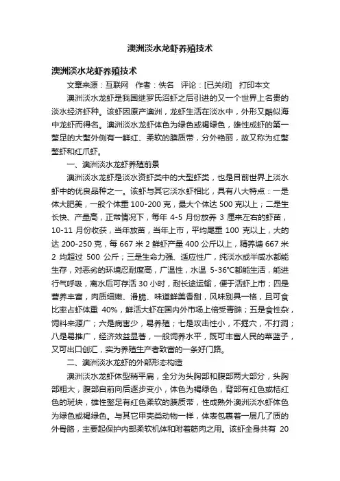 澳洲淡水龙虾养殖技术