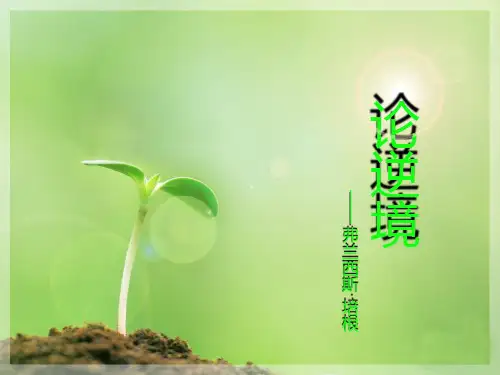论逆境精选教学PPT课件