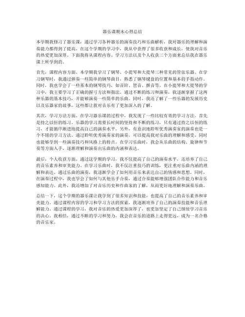 器乐课期末心得总结