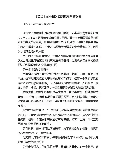 《舌尖上的中国》系列纪录片策划案