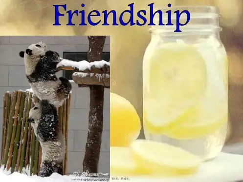friendship-友谊的英文ppt