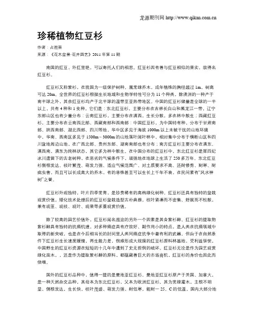 珍稀植物红豆杉