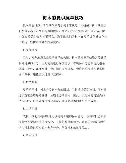 树木的夏季抗旱技巧