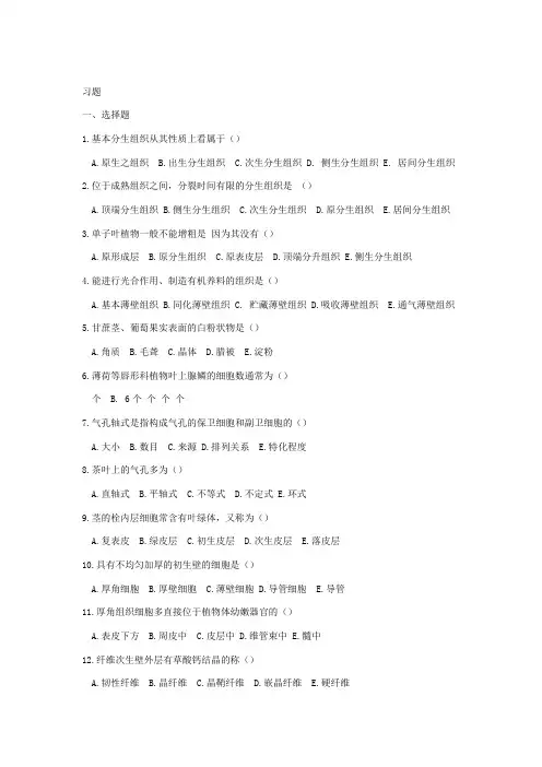 植物的组织