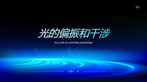 探究光的偏振和干涉