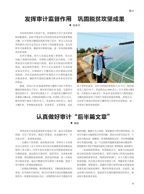 发挥审计监督作用 巩固脱贫攻坚成果