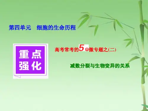 高考生物重点强化高考常考的个微专题之减数分裂与生物变异的关系课件(共34张PPT)