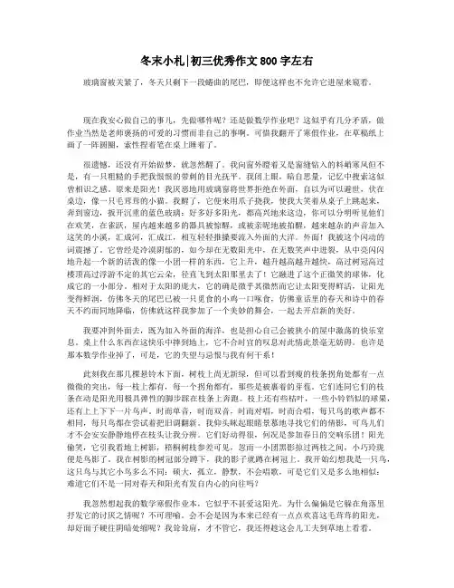 冬末小札初三优秀作文800字左右