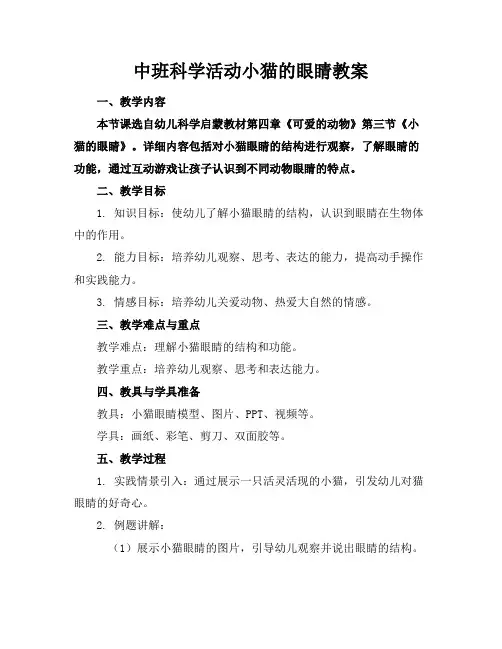 中班科学活动小猫的眼睛教案