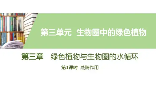 人教版七年级生物上册第三章第1课时蒸腾作用