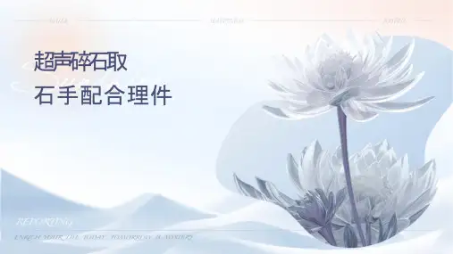 经皮肾镜超声碎石取石手术配合护理课件