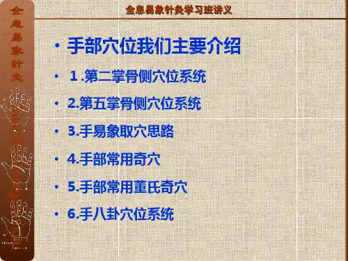 最新全息易象针灸-手针穴位系统ppt课件-PPT文档