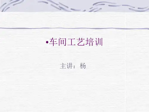《化工车间工艺讲课》PPT课件