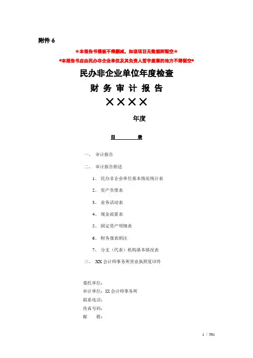 民办非企业单位审计报告模板