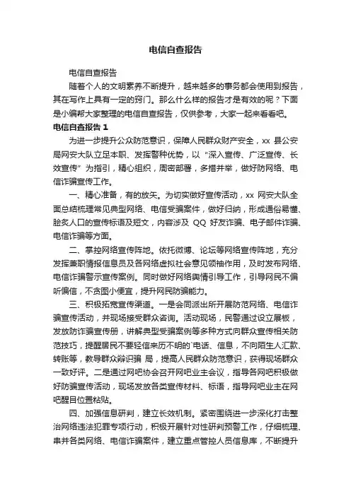 电信自查报告
