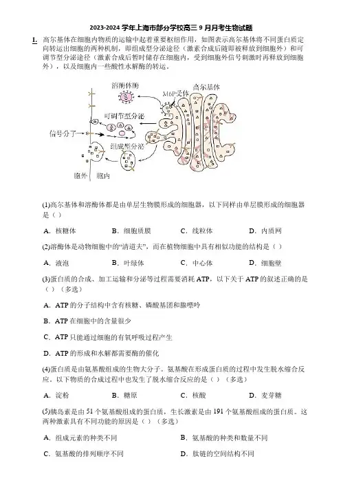 2023-2024学年上海市部分学校高三9月月考生物试题