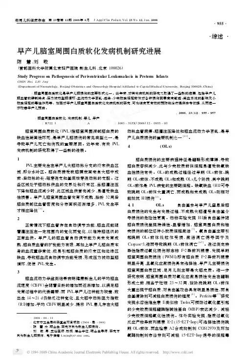早产儿脑室周围白质软化发病机制研究进展