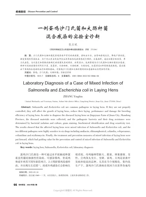 一例蛋鸡沙门氏菌和大肠杆菌混合感染的实验室诊断