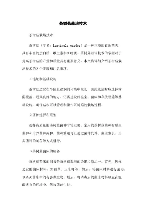 茶树菇栽培技术