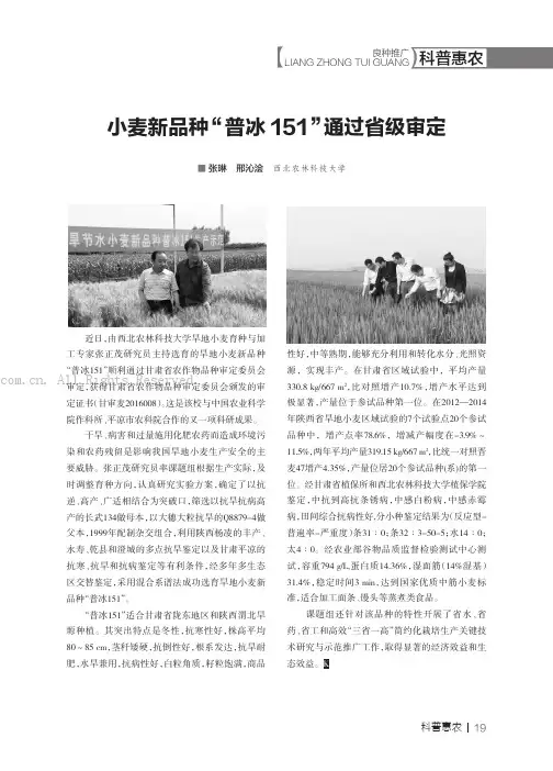 小麦新品种“普冰151”通过省级审定