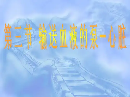 第三节血液循环的途径ppt【23页】