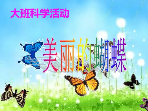 幼儿园大班科学活动《美丽的蝴蝶》PPT课件