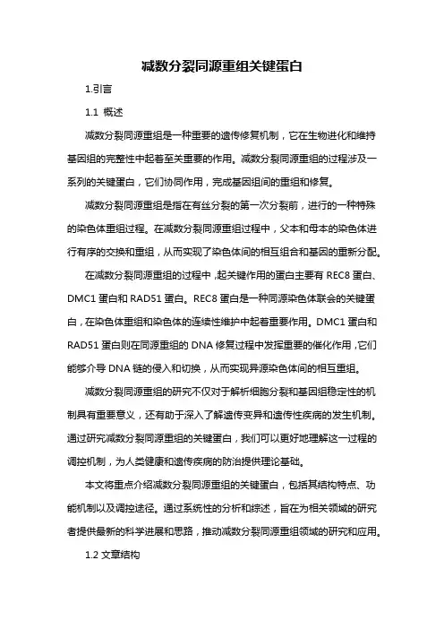 减数分裂同源重组关键蛋白
