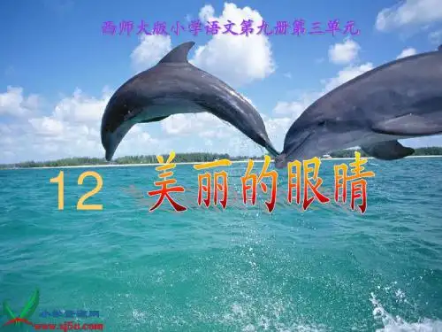 赛课《美丽的眼睛》