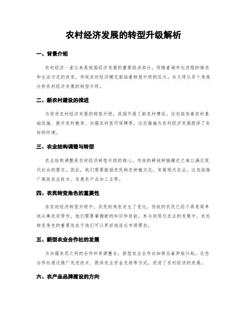 农村经济发展的转型升级解析