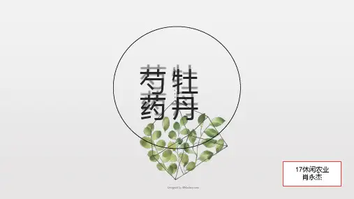 牡丹   芍药 