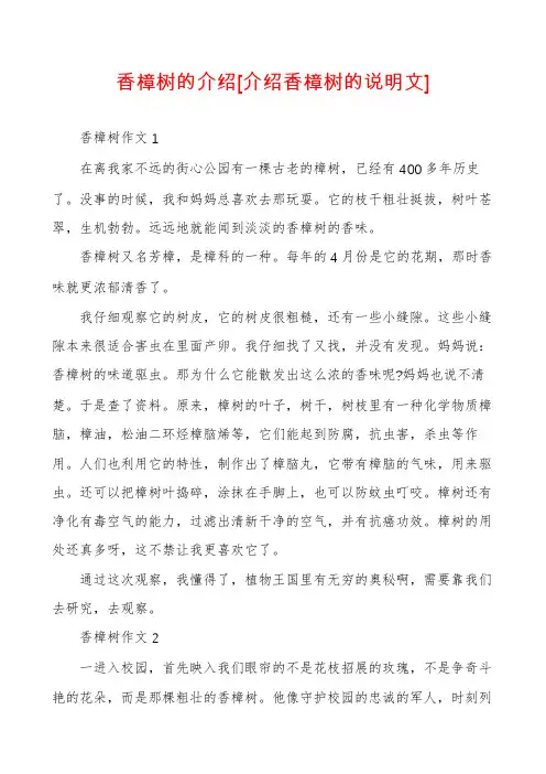 香樟树的介绍[介绍香樟树的说明文]