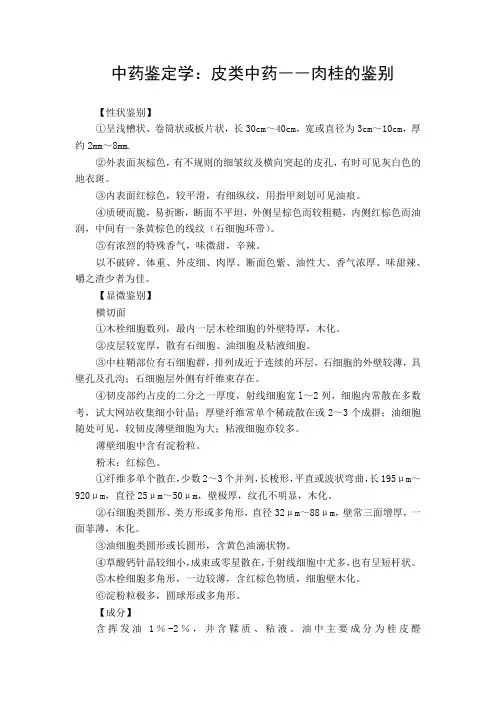 中药鉴定学：皮类中药――肉桂的鉴别