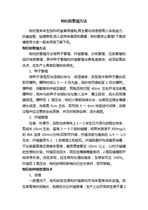 枸杞的繁殖方法