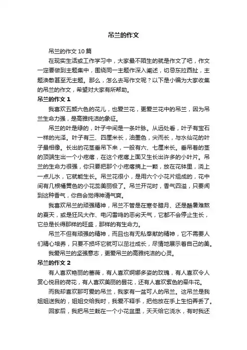 吊兰的作文10篇