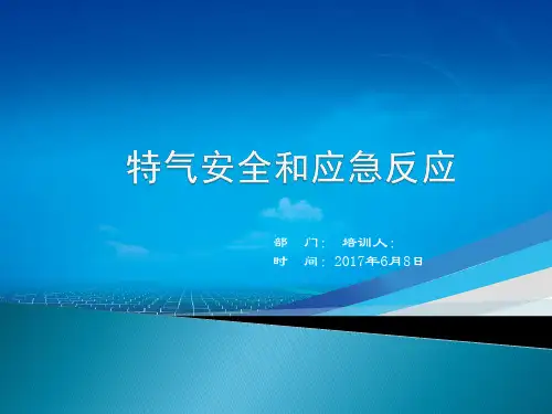 特气安全与应急反应 