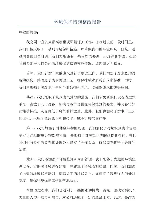 环境保护措施整改报告