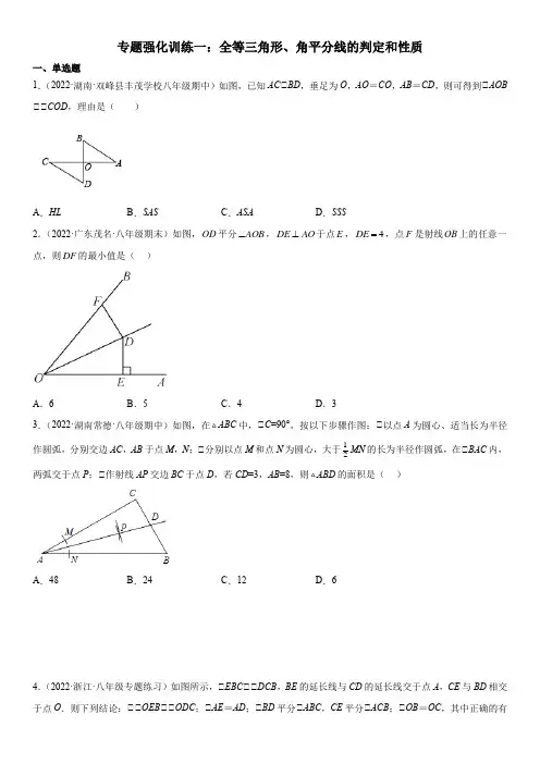 2022-2023学年八年级数学上册《全等三角形、角平分线的判定和性质》精讲与精练高分突破