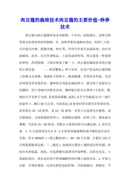 肉豆蔻的栽培技术 肉豆蔻的主要价值 - 种养技术