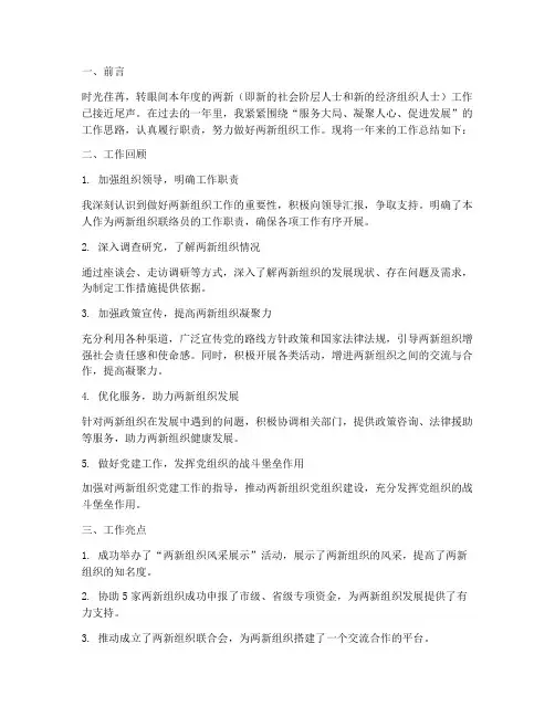 两新个人工作总结