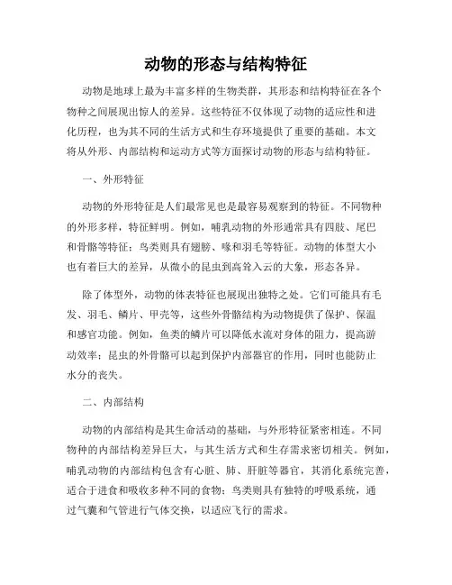 动物的形态与结构特征