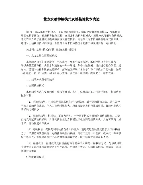 北方水稻种植模式及耕整地技术浅述