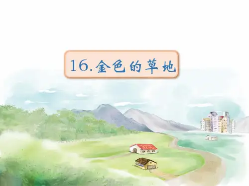 《金色的草地》课件(共35张PPT)